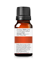 Load image into Gallery viewer, Organic Essential Oil of Cinnamon Bark